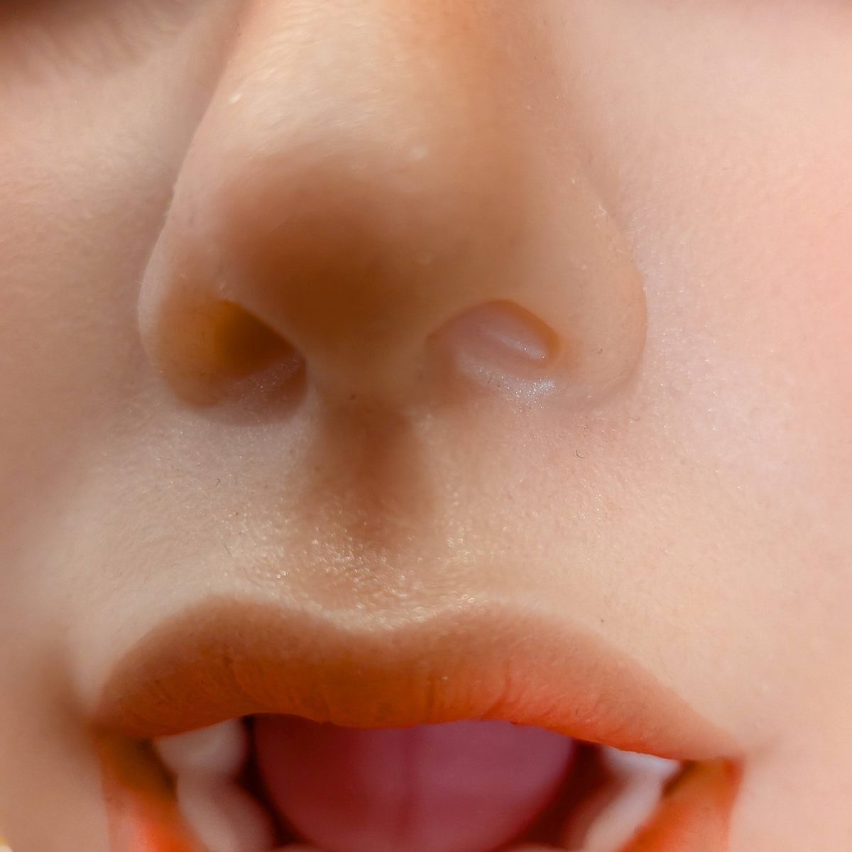 Close-up of the nose and parted orange lips, showing skin texture and the teeth behind.